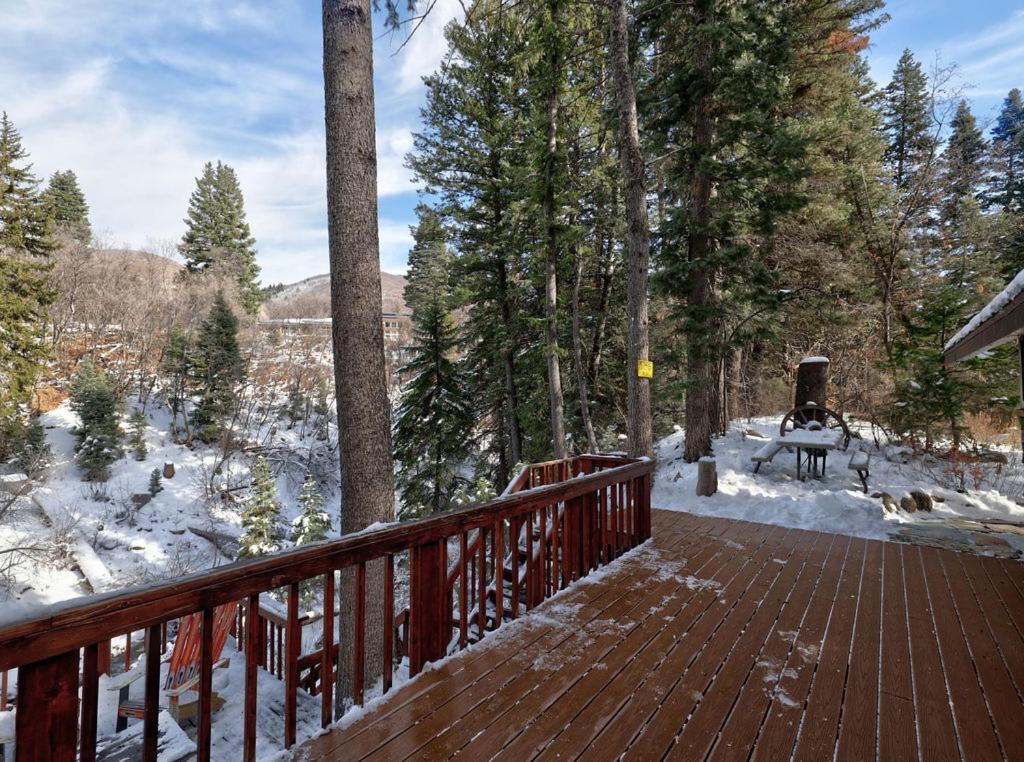 Hideaway Above The Stream Sundance, Utah Villa Dış mekan fotoğraf