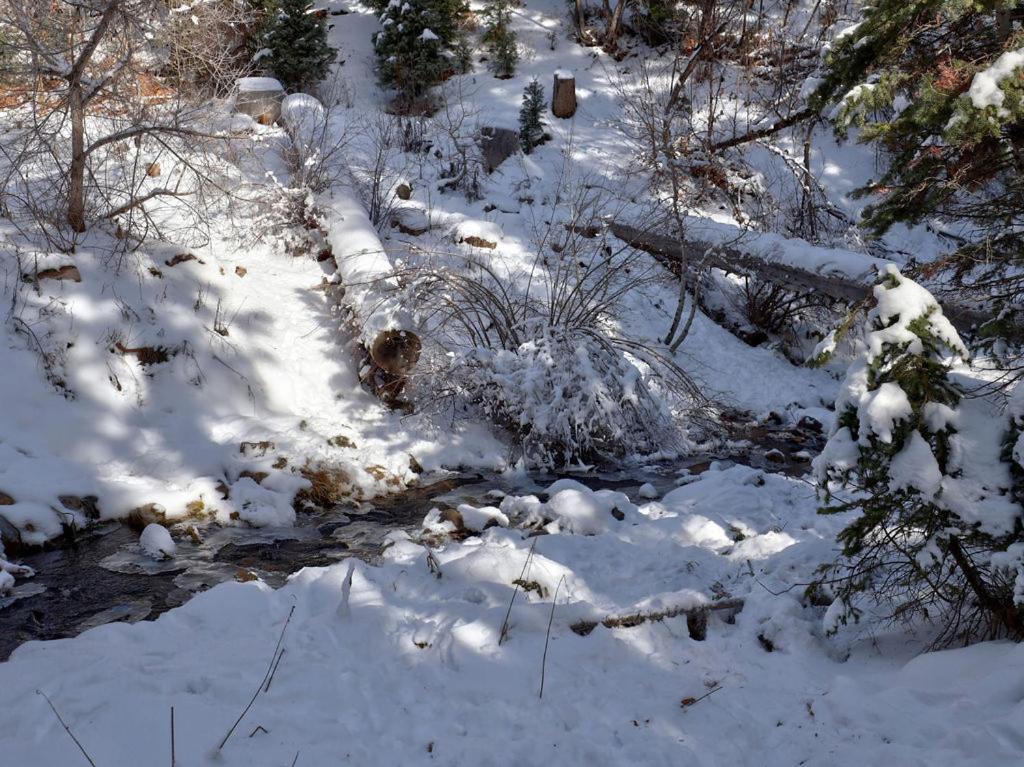 Hideaway Above The Stream Sundance, Utah Villa Dış mekan fotoğraf